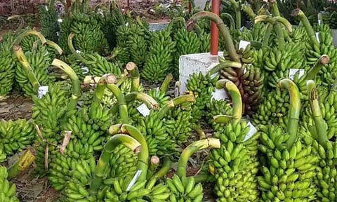 கோப்புபடம்