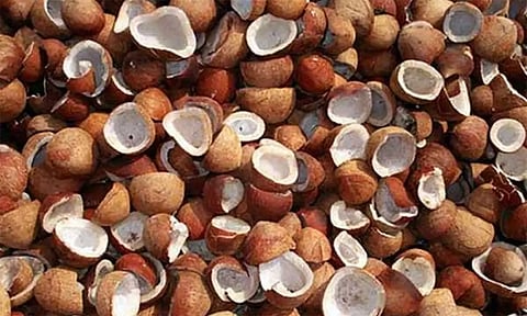ரூ.1.65 கோடிக்கு கொப்பரை ஏலம்