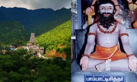 பாம்பாட்டி சித்தர் குகை