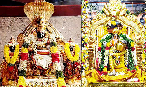 நவநீதகிருஷ்ணன் கோவிலில் ஜெயந்தி உற்சவ விழா