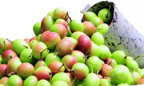 கருப்பை கழிவுகளை நீக்கும் களாக்காய்!