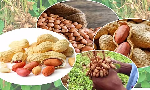 கோப்பு படம்.