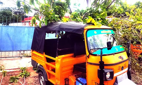 ஆட்டோ மீது மரம் விழுந்து கிடப்பதை படத்தில் காணலாம்.