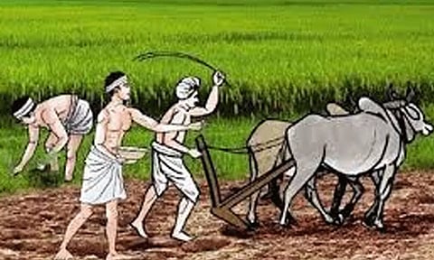 உழவு பணிகளில் ஆர்வம் காட்டும் விவசாயிகள்