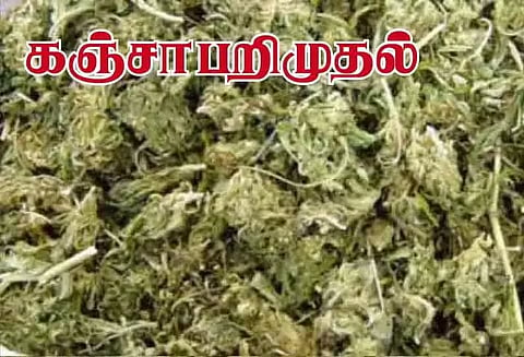 சுரண்டையில் கஞ்சா வைத்திருந்த 5 வாலிபர்கள் சிக்கினர்