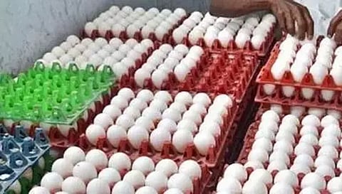 முட்டை விலை 5 பைசா உயர்வு