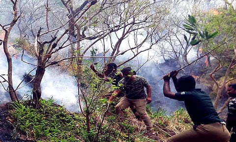 சிவகிரி மலை பகுதியில் பற்றிய தீ கட்டுக்குள் வந்தது