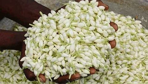 மல்லிகை விலை திடீர் உயர்வு