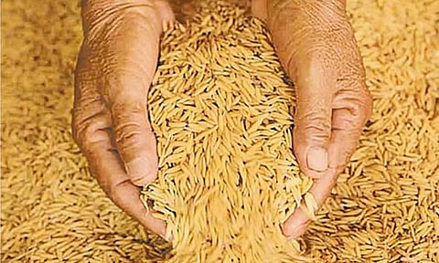 கோப்புபடம்