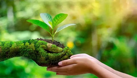 அங்கக விவசாயம் செய்யும் விவசாயிகள்இலவசமாக அங்கக சான்றிதழ் பெற ஆலோசனை