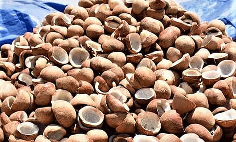 ரூ.1.37 கோடிக்கு கொப்பரை ஏலம்