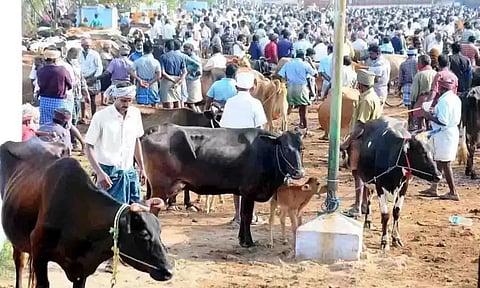 கோப்புபடம்