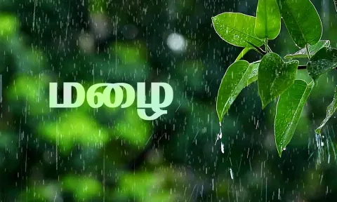 தென்காசி மாவட்டத்தில் பரவலாக மழை-அடவிநயினார் அணை நீர்மட்டம் மேலும் 1 அடி அதிகரிப்பு