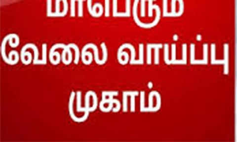 தனியார் துறை வேலை வாய்ப்பு முகாம்
