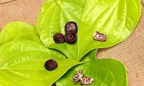 புதுமாப்பிள்ளைகளுக்கு வெற்றிலையின் மகத்துவம் தெரியுமா?