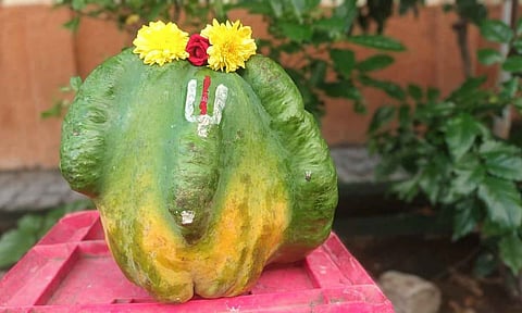 பப்பாளியில் பெருமாள் உருவம்: பக்தர்கள் பூஜை செய்து வழிபாடு