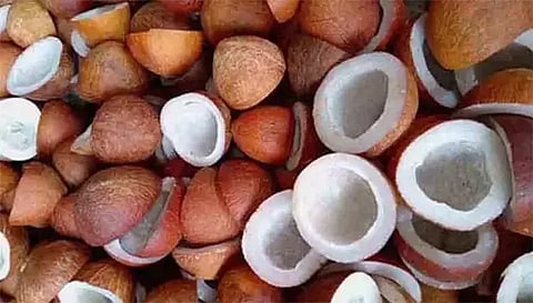 திருச்செங்கோடு வேளாண்மை கூட்டுறவு விற்பனை சங்கத்தில் கொப்பரை ரூ.3 லட்சத்திற்கு விற்பனை