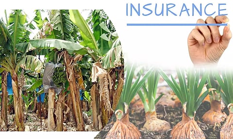 கோப்பு படம்.