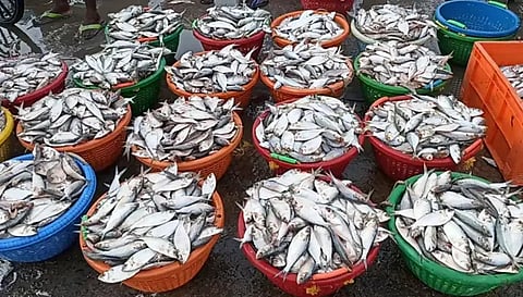 சேலம் மீன் மார்க்கெட்டில் கடல் மீன்களின் விலை ரூ.100 சரிவு