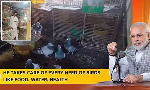 புறாக்களை பராமரிக்கும் பணிக்காக சென்னை ஆட்டோ டிரைவருக்கு பிரதமர் மோடி பாராட்டு