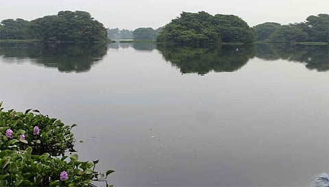 சேலம் மாவட்டத்தில் மழை நீடிப்புஏரி, குளங்களுக்கு நீர்வரத்து அதிகரிப்பு
