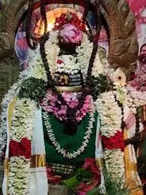 சிவன் கோவில்களில் நந்தி பெருமானுக்கு சிறப்பு அபிஷேக - ஆராதனை