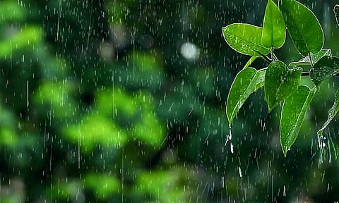 ஈரோடு மாவட்ட அணை பகுதிகளில் பரவலாக பெய்த மழை