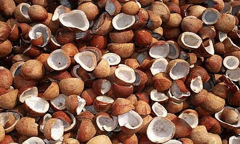 பெருந்துறையில் ரூ.1.45 கோடிக்கு கொப்பரை ஏலம்