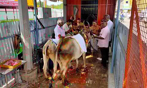 கோ பூஜை நடைபெற்ற காட்சி.