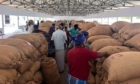 விற்பனைக்கு வைக்கப்பட்டிருந்த சூரியகாந்தி விதை மூட்டைகள்.