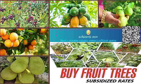 கோப்பு படம்.