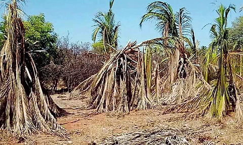 கோப்பு படம்.