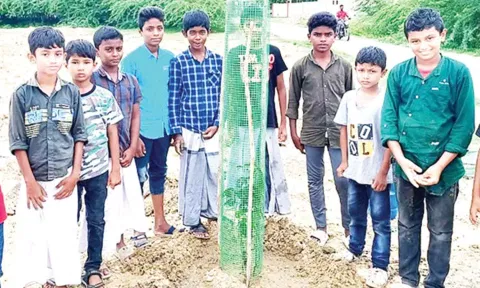 மரக்கன்றுகள் நடப்பட்டது