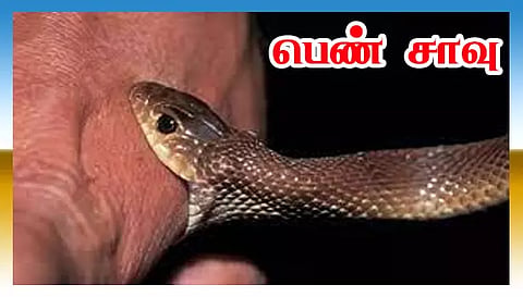 பாம்பு கடித்து பெண் சாவு