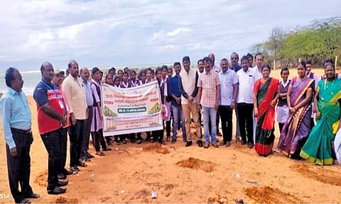 உவரி கடற்கரையில் பனைவிதைகள் விதைப்பு