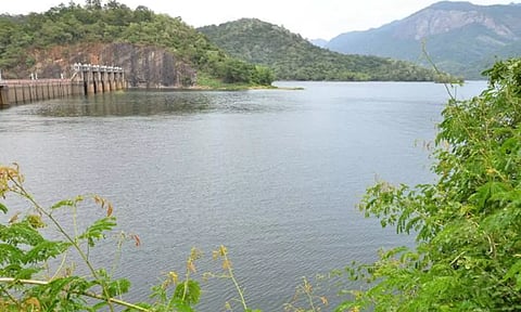 மேற்கு தொடர்ச்சி மலை பகுதிகளில் மழை நீடிப்பு: பாபநாசம் அணை நீர்மட்டம் மேலும் 3 அடி உயர்வு