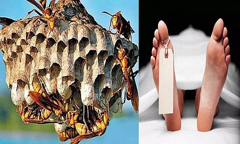 குளவி கொட்டி விவசாயி சாவு