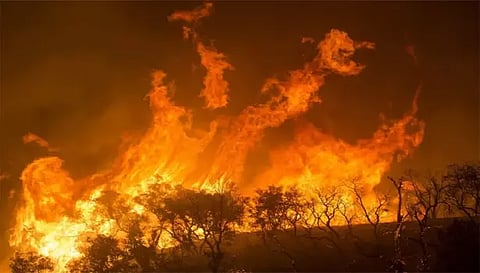 மேட்டூர் காவிரி கரையோரத்தில் பரவிய தீயால் பரபரப்பு