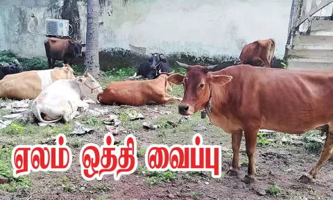 கோப்பு படம்