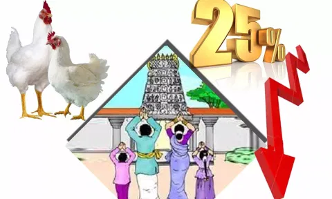 கோப்பு படம்.