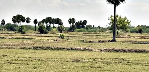 நெடுஞ்சாலை பணிக்காக மூடப்பட்ட பாசன கால்வாயால் விவசாயிகள் அவதி