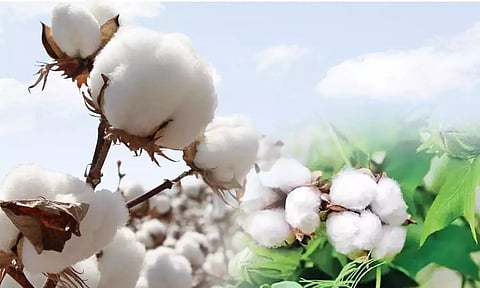 கோப்புபடம். 