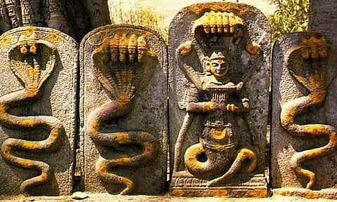 ஆலகால விஷத்தை சிவபெருமான் உண்ட தினமே நாக சதுர்த்தி