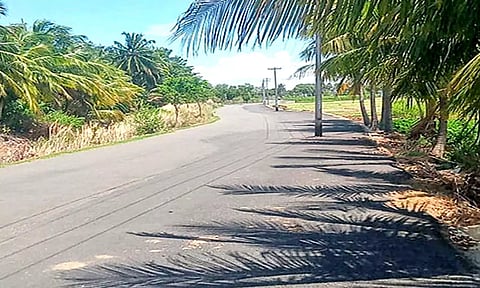 சுந்தரபாண்டியபுரம் அருகே மின்கம்பங்களை அகற்றாமலேயே அமைக்கப்பட்ட புதிய தார் சாலை