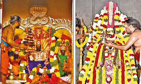 திருநாகேஸ்வரம், கீழப்பெரும்பள்ளம் கோவில்களில் ராகு-கேது பெயர்ச்சி விழா