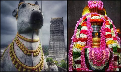 நந்தியின் முன் எழுந்தருளும் அண்ணாமலையார்