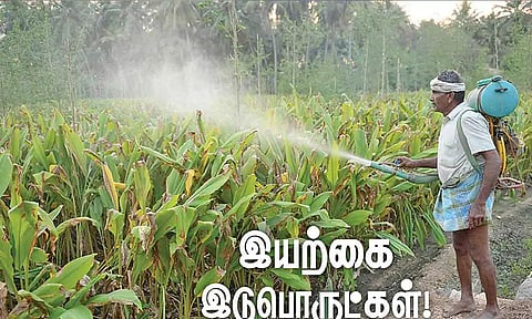 கோப்புபடம். 