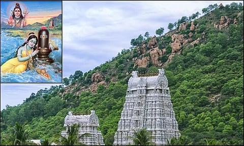 நினைவை மறக்க செய்யும் வனம்!