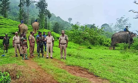 கட்டக்கொம்பன் யானையை டிரோன் மூலம் கண்காணிக்கும் வனத்துறை- 4 கும்கி யானைகளுடன் பாதுகாப்பு