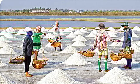 உப்பு பற்றிய பல சுவையான தகவல்கள்